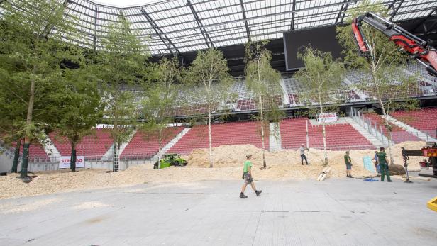 Kunstprojekt Stadionwald: Die ersten Bäume kommen in die Arena