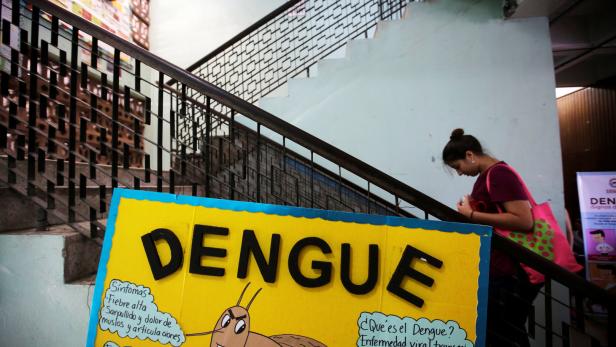 Dengue-Notstand auf den Philippinen: Bereits mehr als 600 Todesfälle.