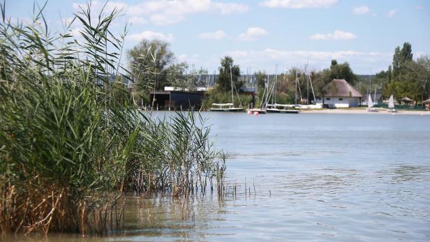 Burgenland: Der Masterplan für den Neusiedler See muss warten