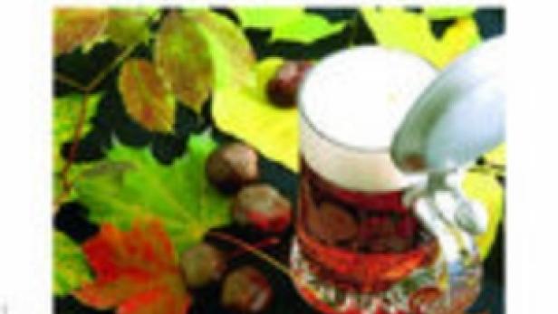 Ein Glas bayerisches Märzen-Bier mit Kastanien und Herbstlaub dekoriert.
