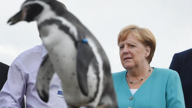 Merkel beim Besuch des Ozeaneums in Stralsund.