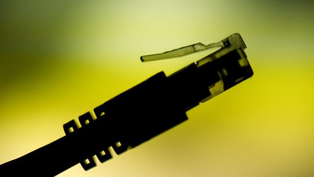 Nahaufnahme eines RJ45-Steckers vor einem gelbgrünen Hintergrund.