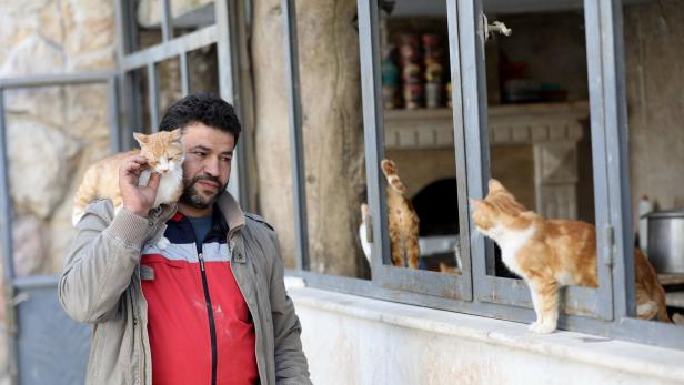 Syrer rettet Katzen, die keinen Besitzer haben