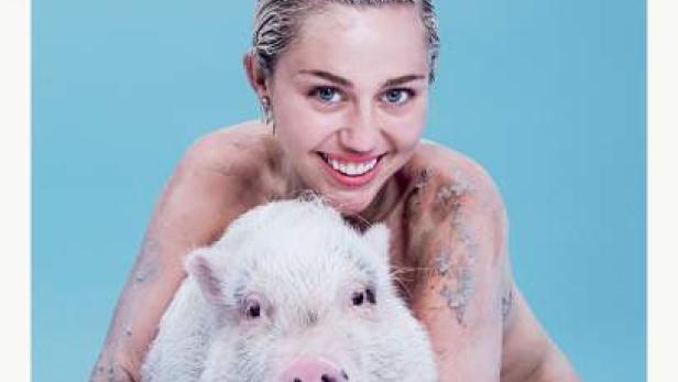 Kopie von miley_paper_cover.jpg