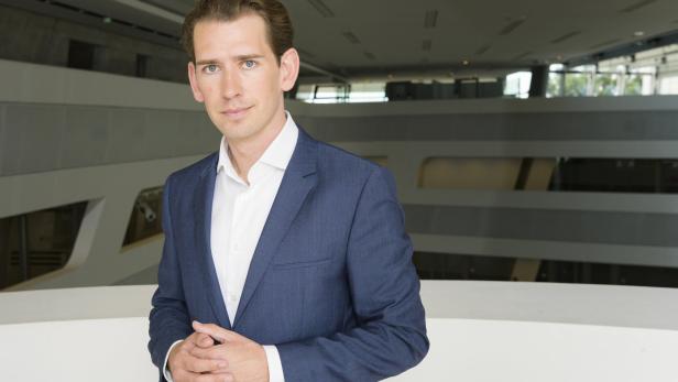 Parteispenden: ÖVP erhielt fast eine Million von Milliardärin