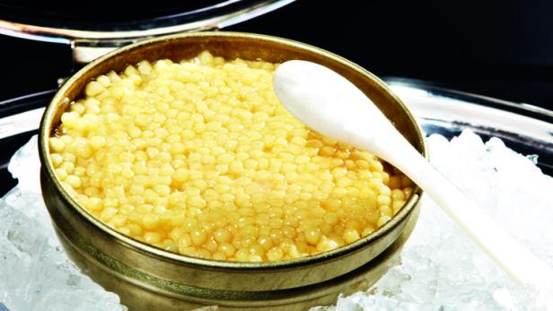 Kaviar deluxe: Was Österreichs teuerster Fisch pro Kilo kostet