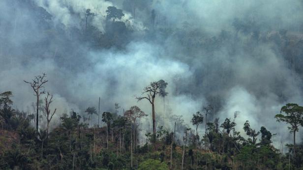 Waldbrände: Brasiliens Polizei ermittelt gegen Brandstifter