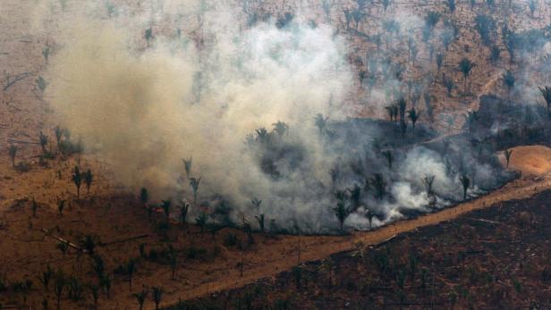 Amazonas: Waldbrände schnüren Menschen die Luft zum Atmen ab