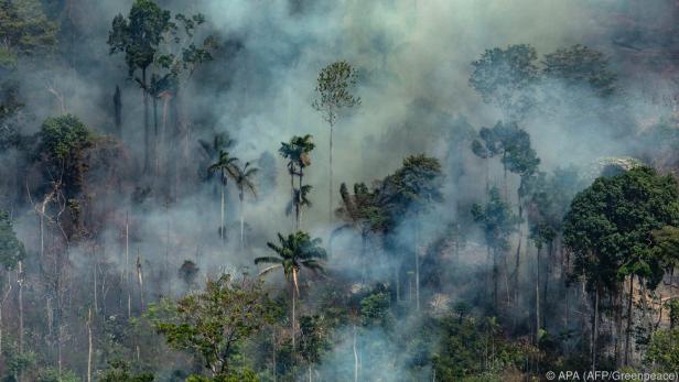 Im Amazonas-Gebiet lodern verheerende Brände