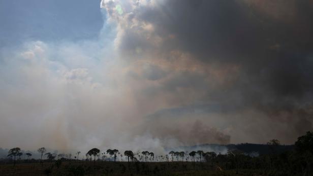 Brasilien brennt: Mehr Gegenwind für Bolsonaro