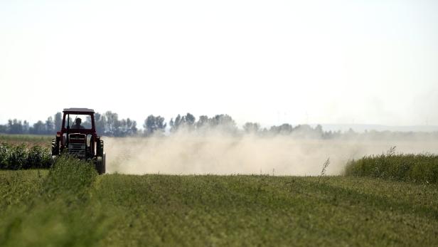 Klimakrise: Kornkammer Marchfeld droht Halbierung der Ernte