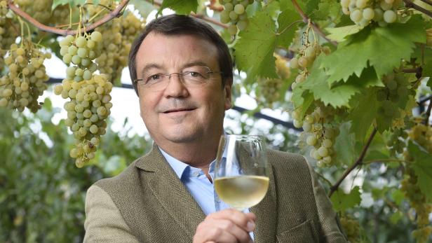 Willi Klinger wird Geschäftsführer von Wein & Co