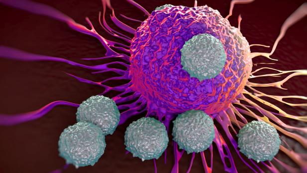 T-Zelle offensiver Krebszellen