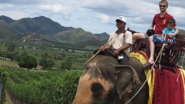 Elefantenritt nahe Bangkok: Thailand steht bei Touristen aus aller Welt hoch im Kurs.