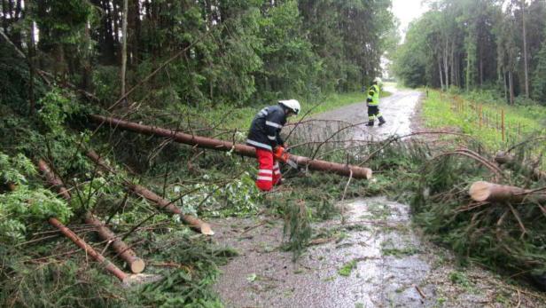 STEIERMARK / UNWETTER: ÜBERSCHWEMMUNGEN UND HAGELS Feuerwehrleute beseitigen umgestürzte Bäume von einer Straße.