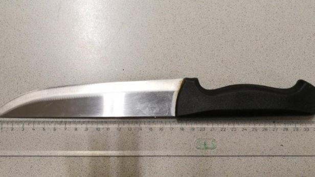 Festnahme: Mann lief nachts mit gezogenem Messer durch Brigittenau