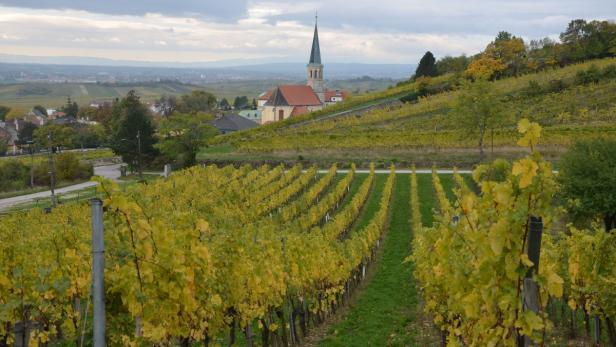 Natur und Landwirtschaft sollen erhalten bleiben