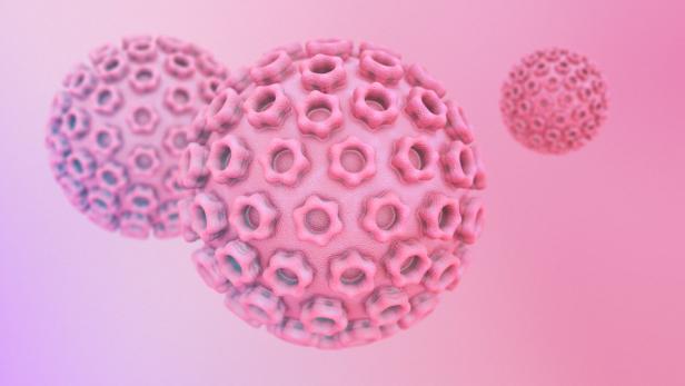 Humane Papillomaviren (HPV) sind Auslöser von Gebärmutterhalskrebs.