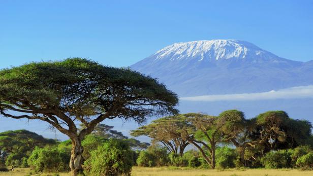 Höchster Berg Afrikas in Flammen: Kilimandscharo brennt