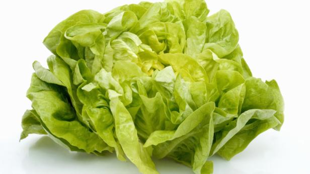 Verpackte Salate "im grünen Bereich"