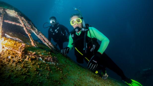 Der Unterwasserpark ist nicht nur Attraktion für Taucher, er liefert auch Forschern Daten zur Meeresökologie.