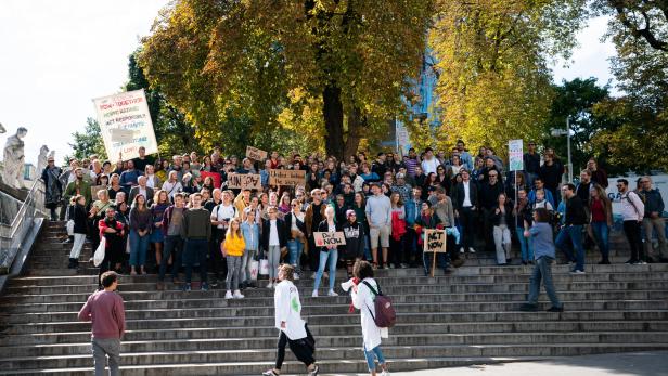 Teilnehmer der Fridays For Future-Demo in Wien diesen Freitag.