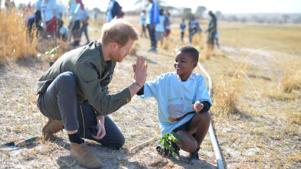 Prinz Harry pflanzte im Chobe Nationalpark Bäume.