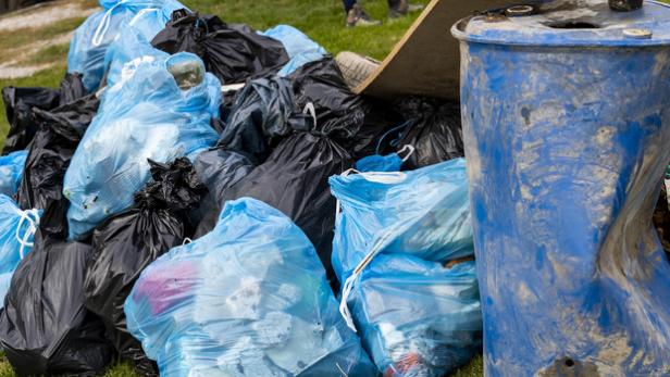 MitarbeiterInnen von Nestlé sammeln gemeinsam Müll in Donauauen in Fischamend. Credit: Martin Steiger
