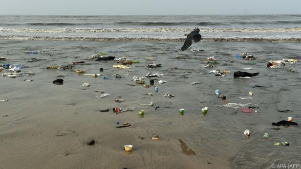 In den Meeren wird immer mehr Plastikmüll gefunden