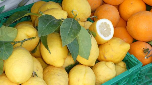 Sauer, süß, erfrischend: Zitronen sind zum Lieben da
