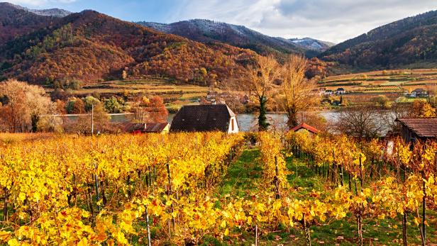 Wandern in der Wachau: Die schönsten Herbstrouten in und um Krems