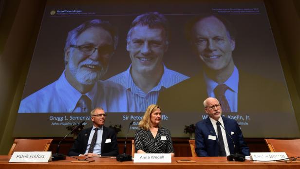 Mitglieder des Nobelpreiskomitees vor den Bildern von Gregg Semenza, Peter Ratcliffe und William Kaelin (v.l.n.r.)