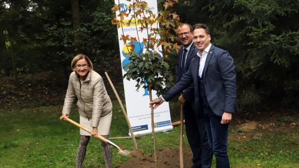 St.Pölten: Zehn neue Bäume in jeder Gemeinde
