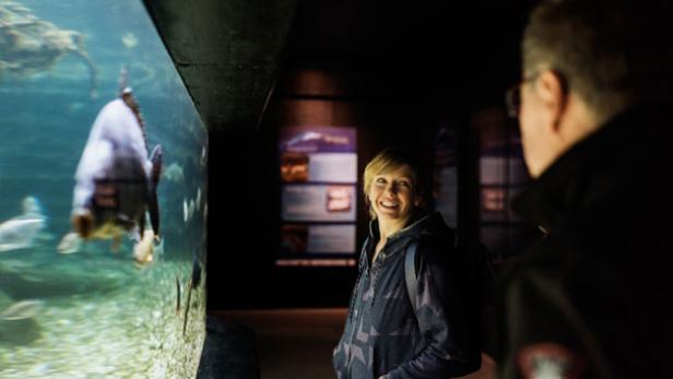 Eine Frau betrachtet lächelnd ein Aquarium in einem dunklen Raum.