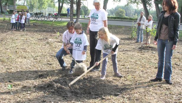 Eine gemeinsame Baumpflanzaktion im Herbst des Vorjahres in Krems - die Kinder und Jugendlichen hatten am Vortag eine Akademie zu Fragen von Klimagerechtigkeit und -wandel mit Felix Finkbeiner