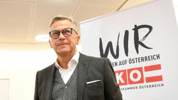 Peter Buchmüller, Obmann der Sparte Handel in der WKO