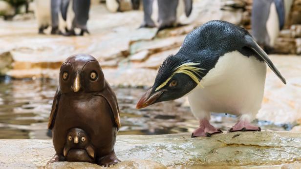 Jö schau, ein Pinguin aus Bronze!