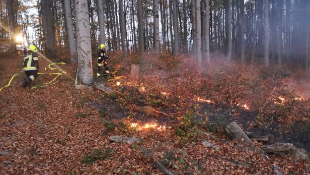 17-jähriger Pilot entdeckt Brand im Wienerwald
