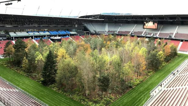 For Forest: Klagenfurter Stadion-Wald kommt nach Niederösterreich