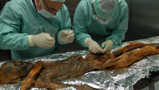 &quot;Ötzi&quot; wurde 1991 in den Ötztaler Alpen gefunden.