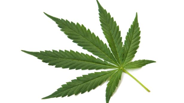 Medizin-Mythen: Wirkt Cannabis als Anti-Krebs-Mittel?