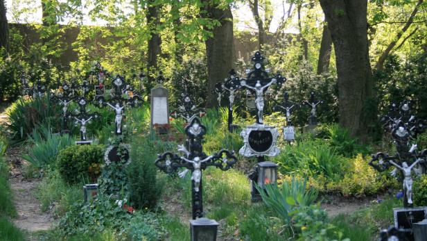 Der Friedhof der Namenlosen in Wien ist nun dank eines neuen Fußwegs direkt zugänglich.