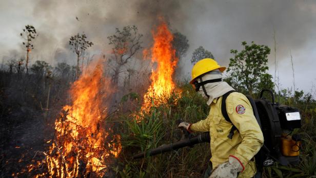 Zahl der Waldbrände im Amazonasbecken auf Tiefststand