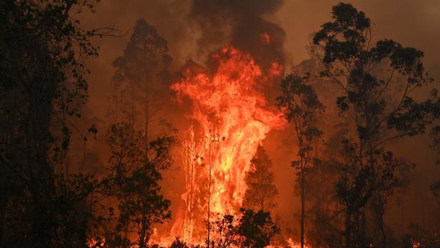 Buschfeuer in Australien lodern: Höchste Warnstufe für Sydney