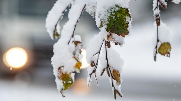 Doch noch weiße Weihnachten: Schnee bis nach Wien