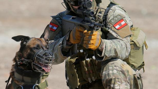 Das Jagdkommando arbeitet mit Malinois-Militärhunden