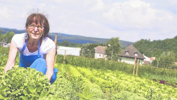 Arbeitsplätze mit Naturanschluss