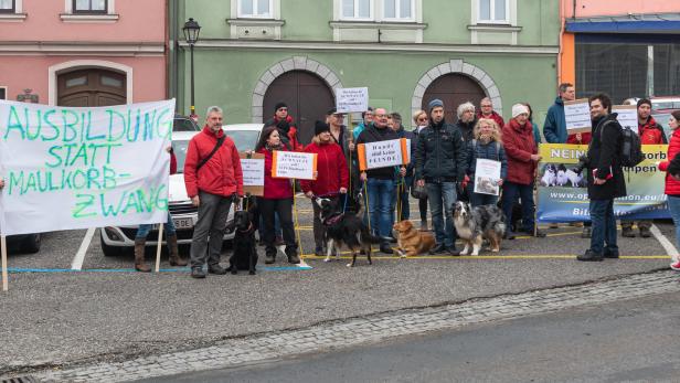 Protest: Schulung für Hundehalter statt Maulkorb gefordert