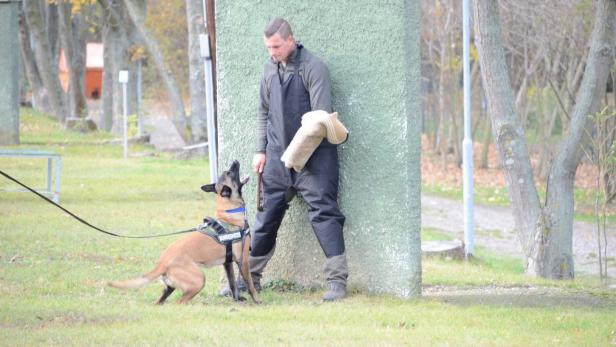 Nach Tod eines Hundeführers: "Keine Bestien", aber scharf für den Einsatz