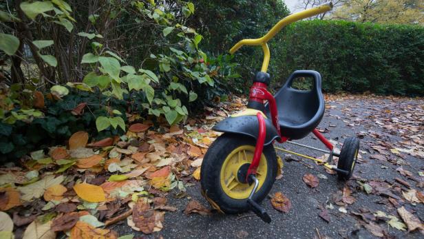 Dreirad auf nassem Weg zwischen herabgefallenen Herbstblättern und grünen Hecken.